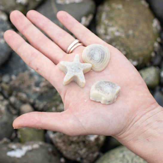 Mini Seashell Lotion Bars VEGAN