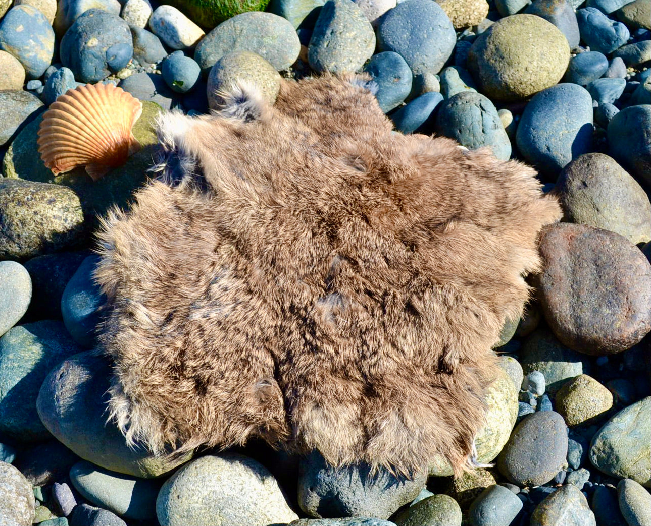 RED Multi Color - Fertility Fur