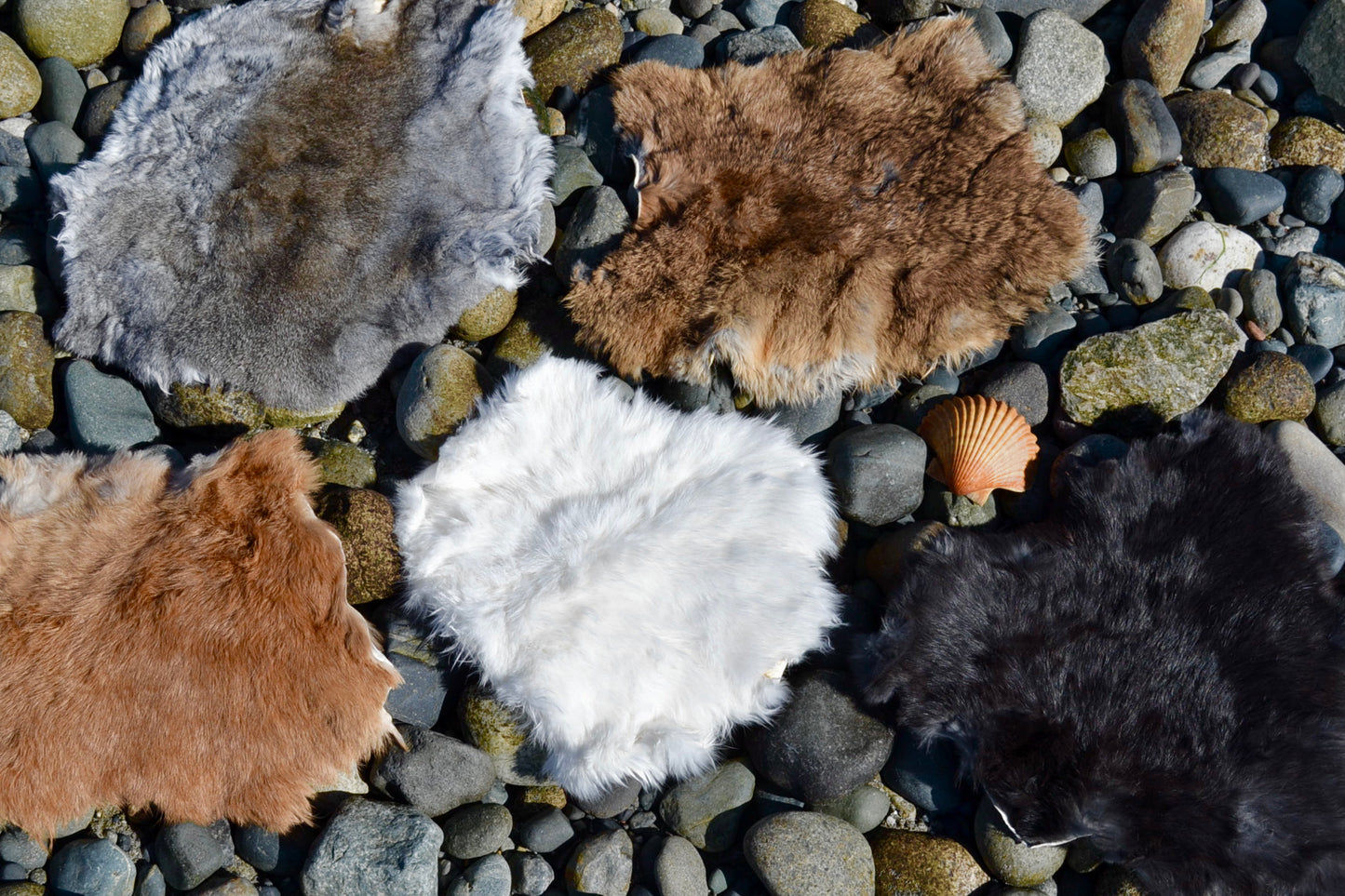 GRAY Multi Color - Fertility Fur